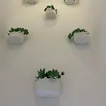 شقة Dina House *