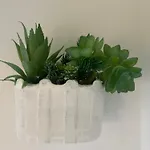 Dina House شقة نازاريه