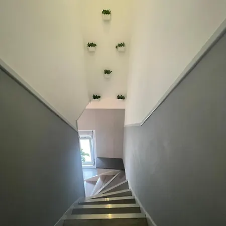 Dina House