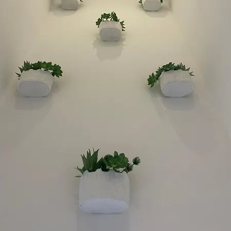 Appartement Dina House *